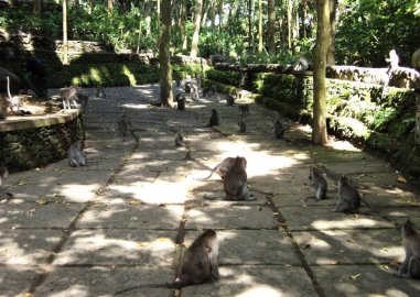 tourism offices in bali