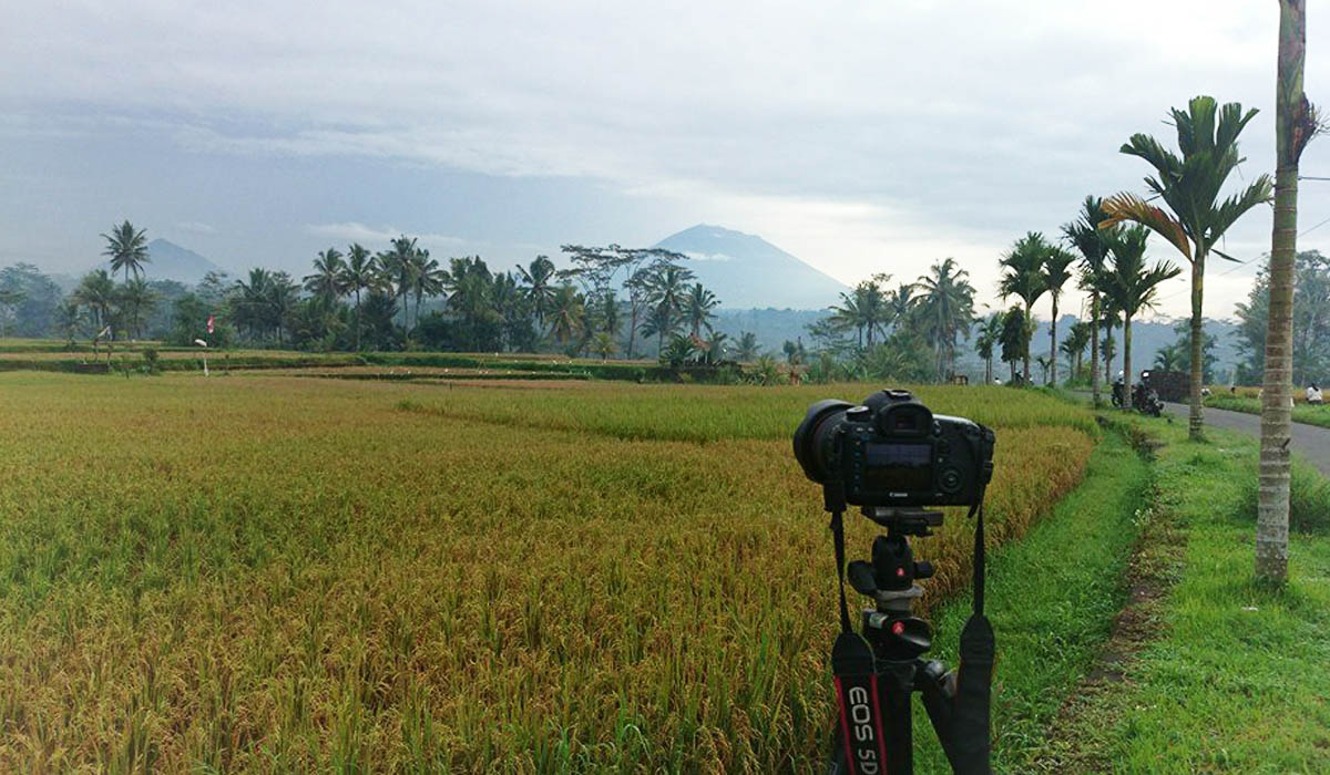 BOOK ONE DAY BEFORE !!!Pick Up Ubud AreaPhotography ClassesTour option:Sunrise over Mt. Agung and the
rice fieldsRural traditional Balinese
life and attending Balinese ceremoniesAncient temples and ma