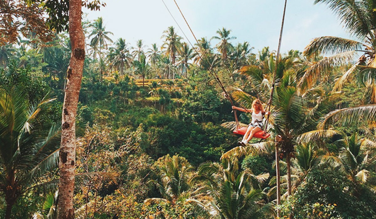 businesses ubud tourism offices in bali