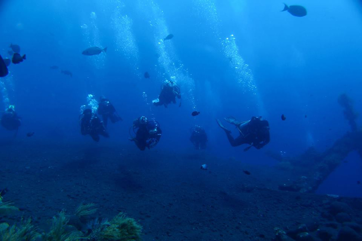 Bali Diventure organizes diving programs for beginners and experienced divers, as well as PADI scuba diving courses and snorkeling tours. Our experienced dive instructors will guide you to some of the