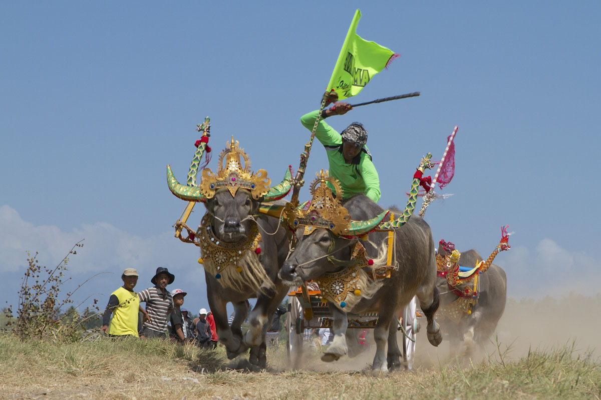 
If you happen to plan a trip to west Bali in June or July or on
Sundays between July and October, 