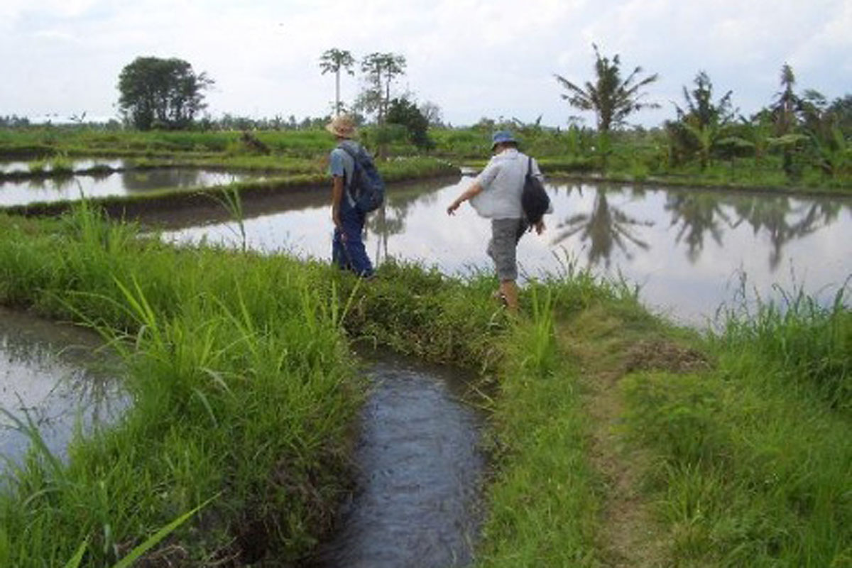 Our car
will pick you up at your hotel at around 8 am. Please remember to bring drinking
water, walking shoes, sun hat and camera. After approximately 30 minutes from
Ubud we will arrive at our starti