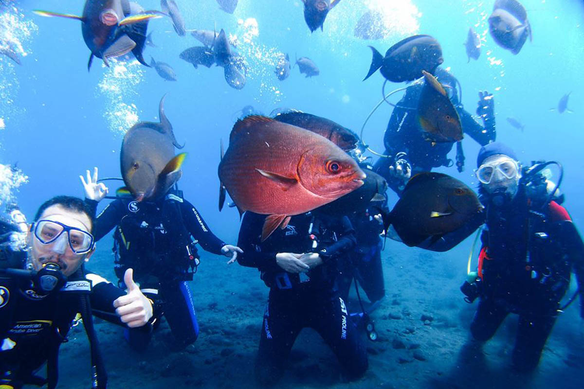 Bali Diventure organizes diving
programs for beginners and experienced divers, as well as PADI scuba diving
courses and snorkeling tours. Our experienced dive instructors will guide you
to some of the
