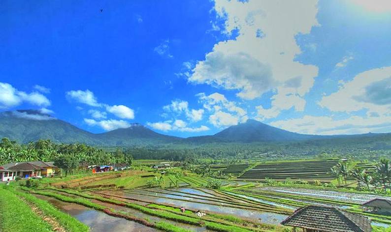 Also located in the Bedugul complex, near
Angsri, is Bali?s fifth tallest peak, the dormant st