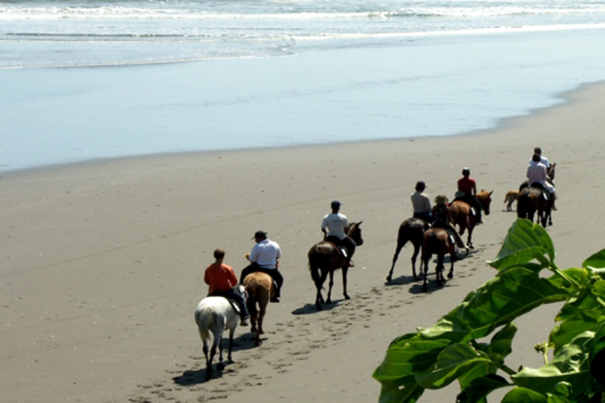
Situated on Bali's wild west coast not far from the famous rock
temple of Tanah Lot, Bali Island H