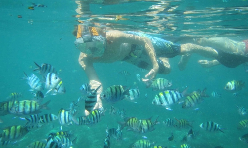 Hot Deal Tir- Har Snorkeling 