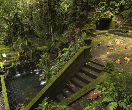 best vacation rentals citrustreeholidays